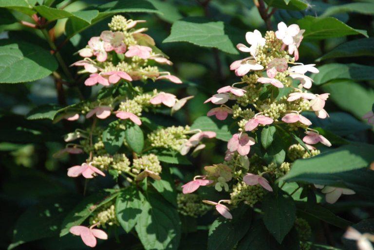 6d2d1d36-5115-44d6-abb0-a624fab0ddc7