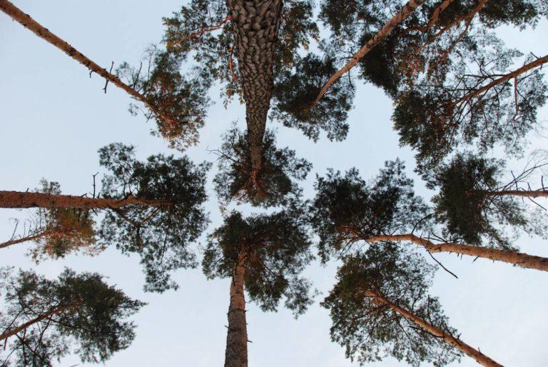 fa6c7f1c-6cd2-4dd0-9738-7ddfe229137e